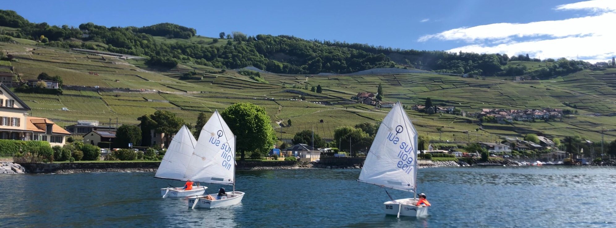 Stage de voile - Eté 2024